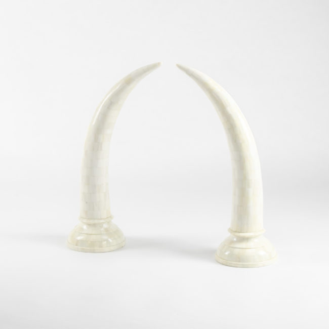 Camel Bone Faux Elephant Tusks