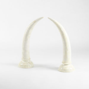 Camel Bone Faux Elephant Tusks