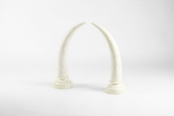 Camel Bone Faux Elephant Tusks