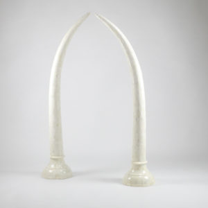 Camel Bone Faux Elephant Tusks