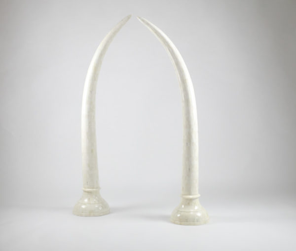 Camel Bone Faux Elephant Tusks